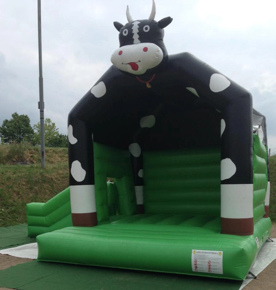 Hüpfburg verleih Crivitz